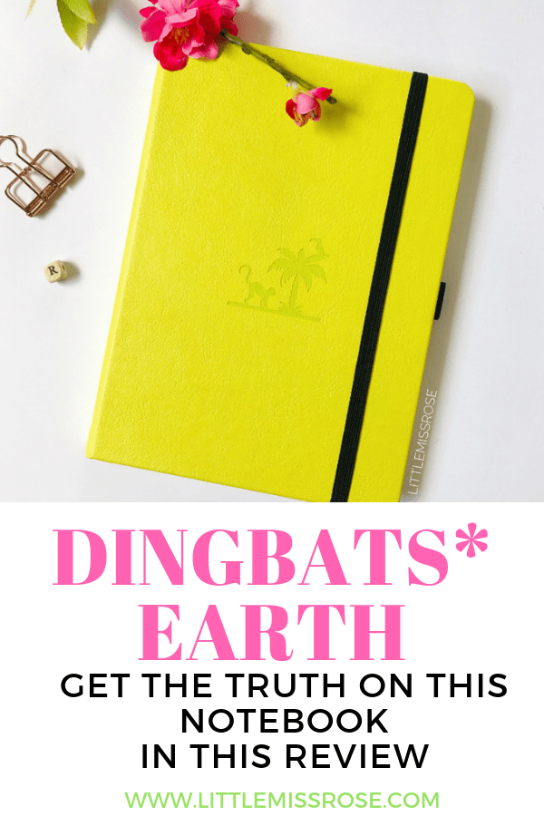 Read an honest review of the Dingbats Earth Notebook here! All the details are covered including a comprehensive pen test AND water test of the paper quality!
