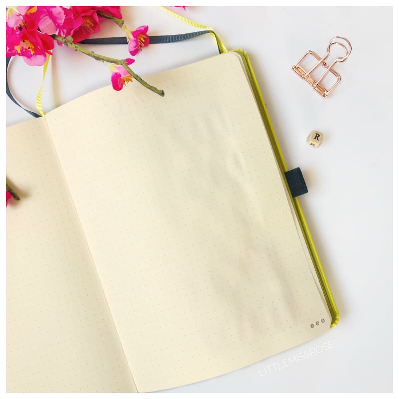 This notebook holds up extremely well to water use. Find out more about the Dingbats Earth Notebook here! This could be your next journal for using watercolour!